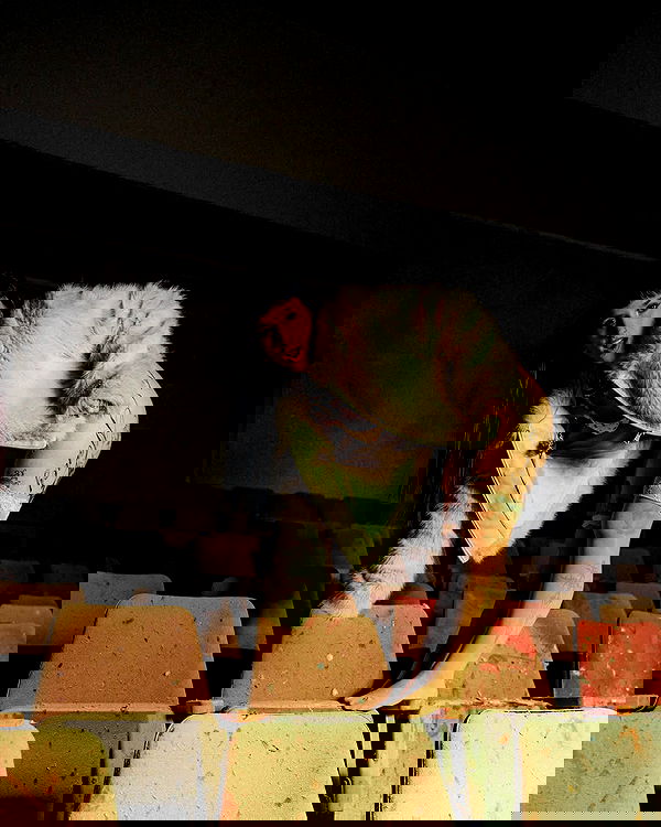 strawberryshanz strawberryshanz archive image