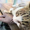 dante_yangpa Altpins Profile Picture