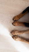 olivia.mathers Altpins Profile Picture