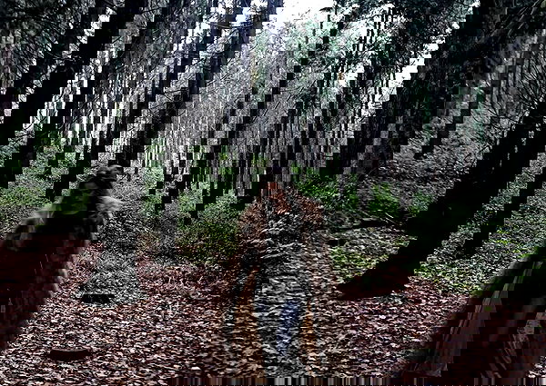 kitty.elliss kitty.elliss archive image