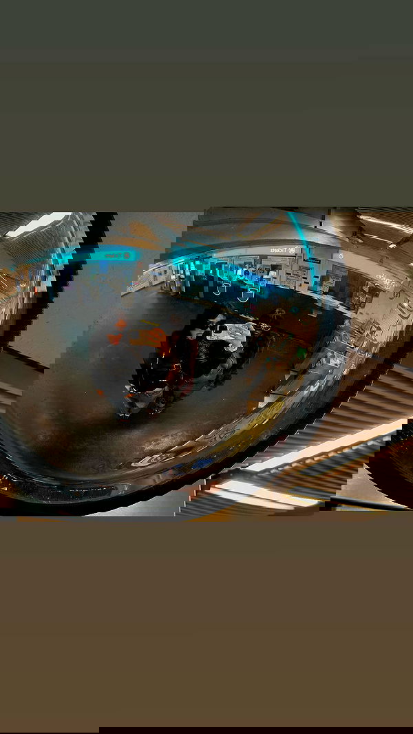 manjolamuriqi manjolamuriqi archive image