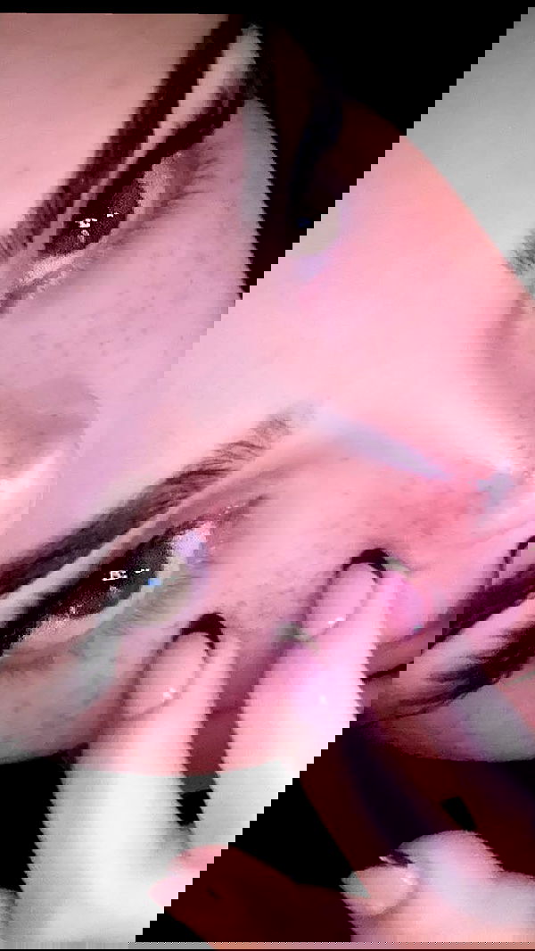 little.warren_ little.warren_ archive image