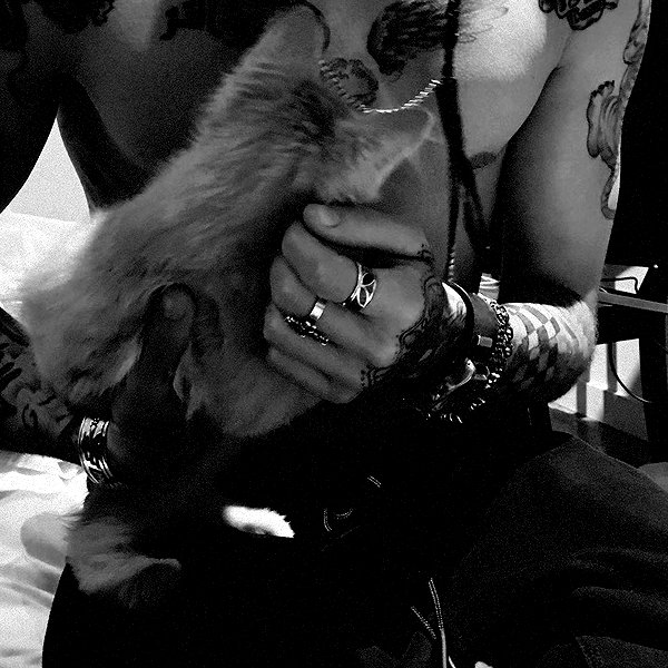 gigihadid instagram image archive image
