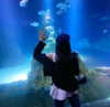 dante_yangpa Altpins Profile Picture