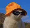 mariagabrielasantos Altpins Profile Picture