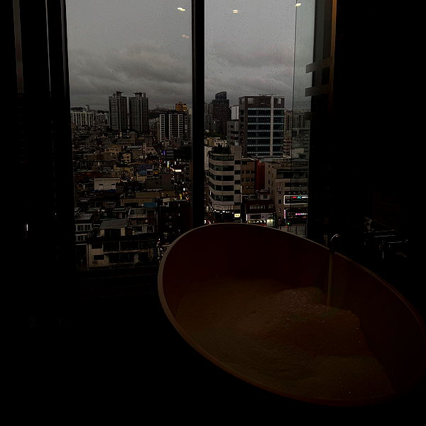 eliya.ho instagram image archive image