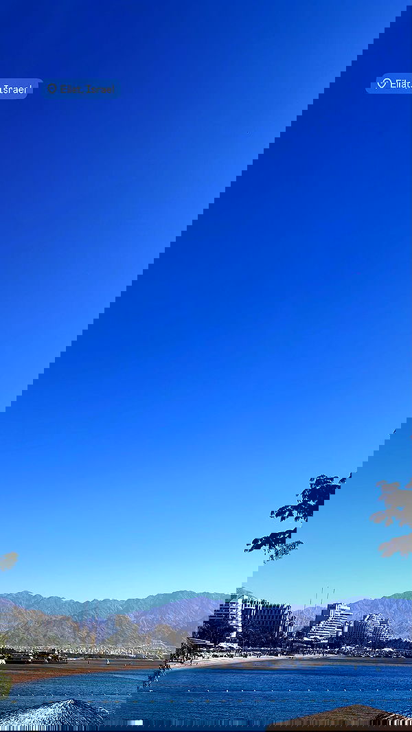 diana_polin diana_polin archive image