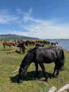 gritsa.k Altpins Profile Picture