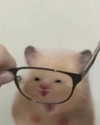 ellaexplicit_ Altpins Profile Picture