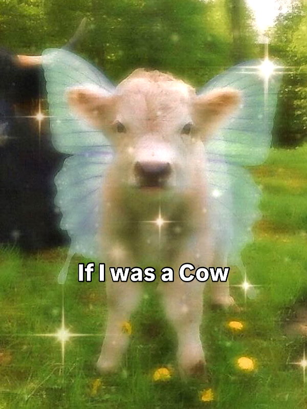 milkibunshehe instagram image archive image