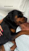 olivia.mathers Altpins Profile Picture