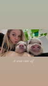 ti_joyy Altpins Profile Picture