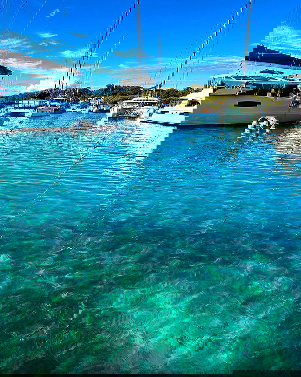 taylor.creeden taylor.creeden archive image