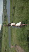 pol_cherie Altpins Profile Picture