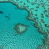 maori_cohen Altpins Profile Picture