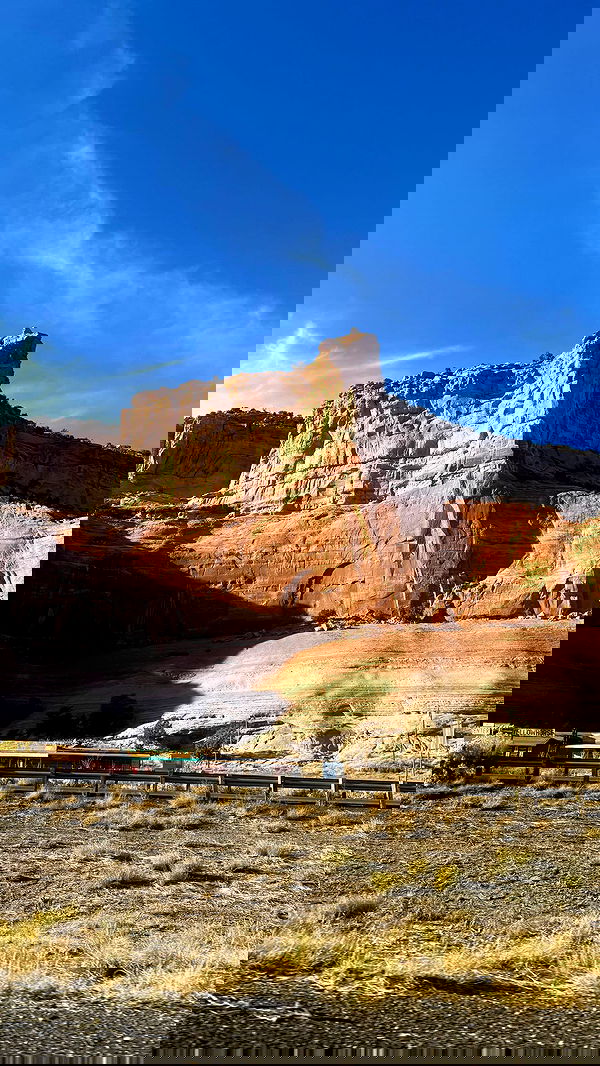 zommmbri zommmbri archive image