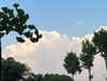 hhh.e_c.v Altpins Profile Picture