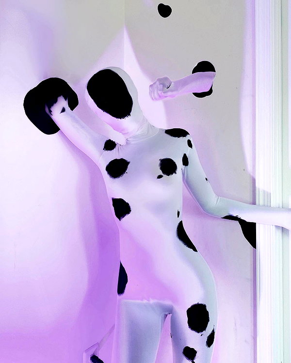 snitchery instagram image archive image