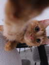 mishel_d_ Altpins Profile Picture