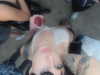 bentevviolet Altpins Profile Picture