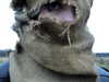 danafetishistova Altpins Profile Picture