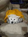 ruth_chavarri Altpins Profile Picture