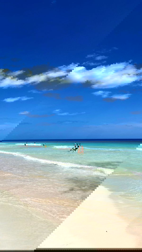 manjolamuriqi manjolamuriqi archive image