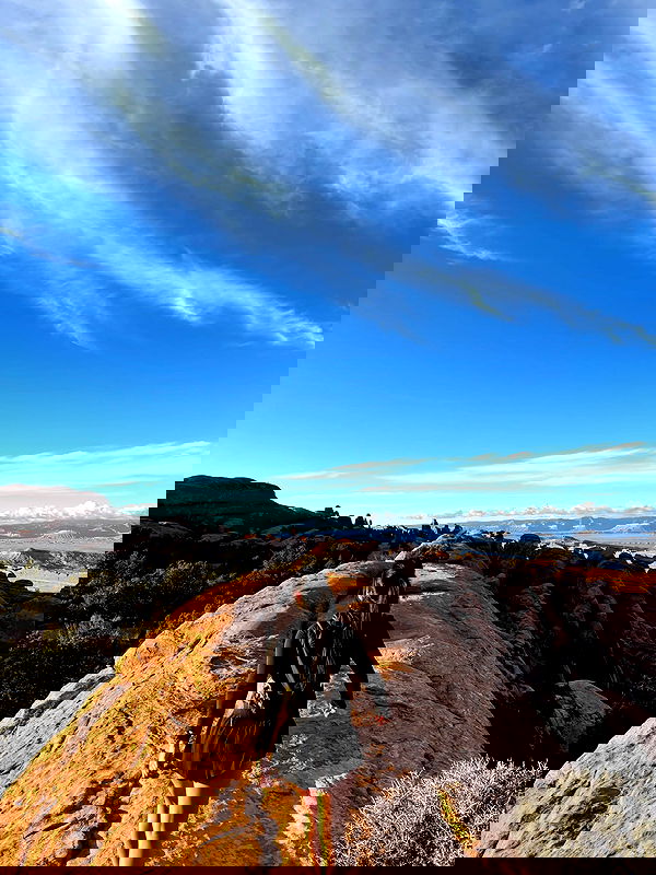 thelizzyporter thelizzyporter archive image