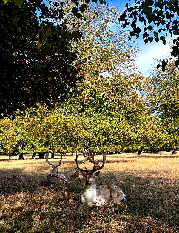 mollieruck instagram image archive image