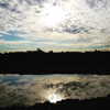 muze Altpins Profile Picture