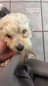 alina_mtsn Altpins Profile Picture