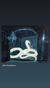 nomagdalina Altpins Profile Picture