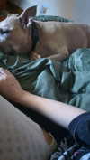 imprettydeadgirl Altpins Profile Picture