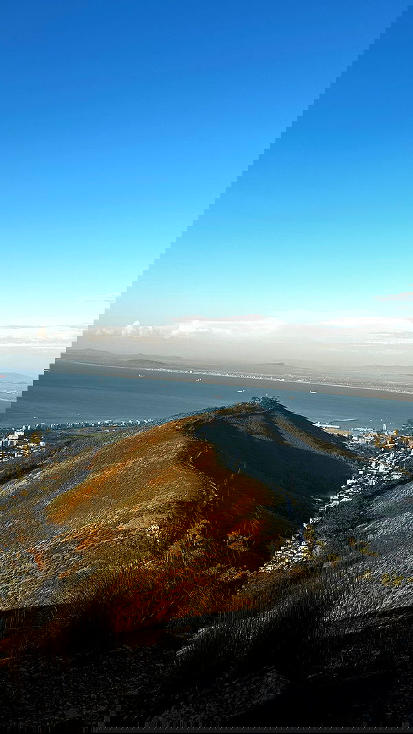 taylor.creeden taylor.creeden archive image