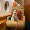 kafelnikova_a Altpins Profile Picture