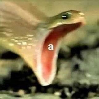 annfigmax instagram image archive image