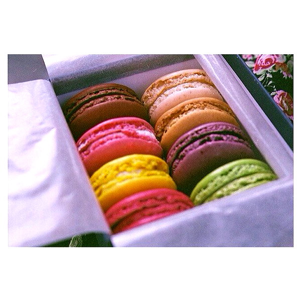 ashleybenson instagram image archive image