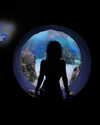 sp1der_eggs Altpins Profile Picture
