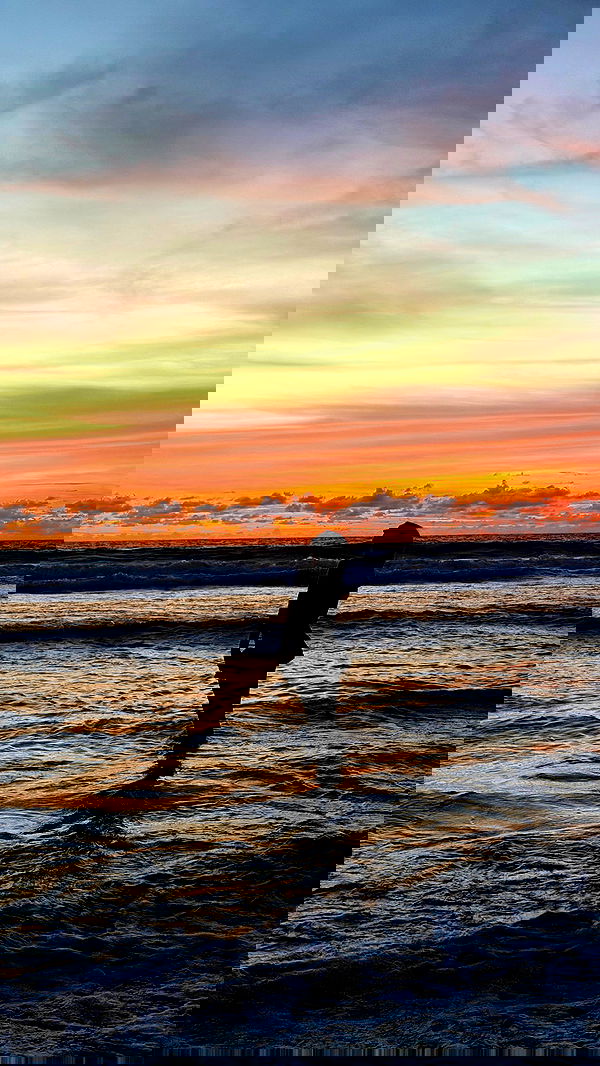 taylor.creeden taylor.creeden archive image