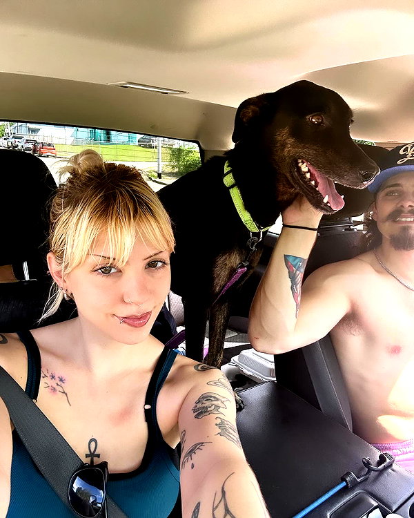 haileylayfield instagram image archive image
