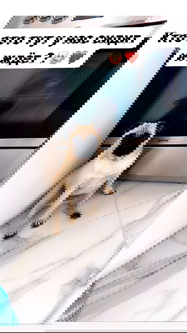 nyityam nyityam archive image