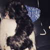 ashleybenson Altpins Profile Picture