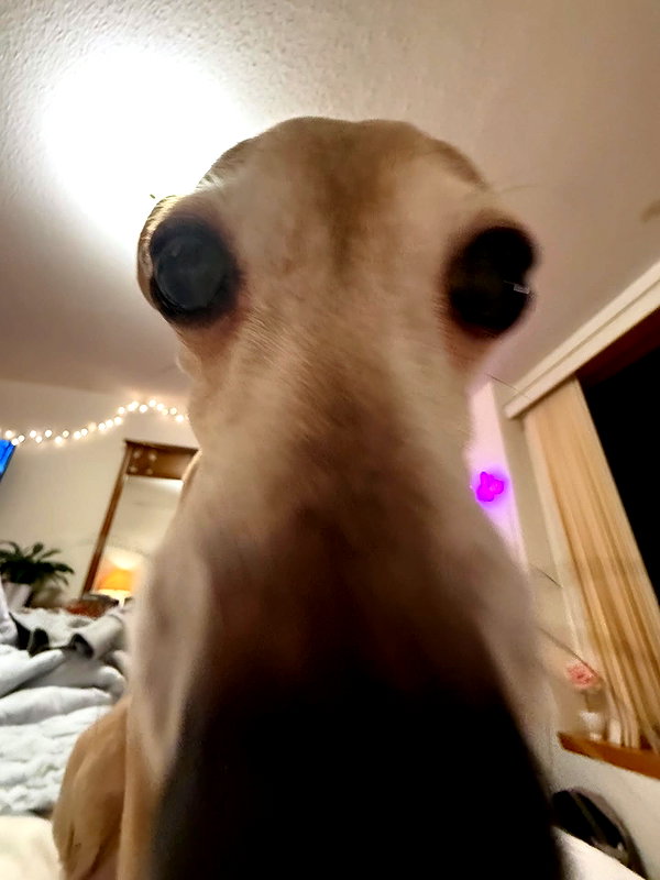 2kyle9_ archive image