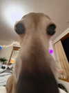 2kyle9_ Altpins Profile Picture