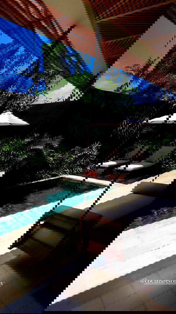 taylor.creeden taylor.creeden archive image