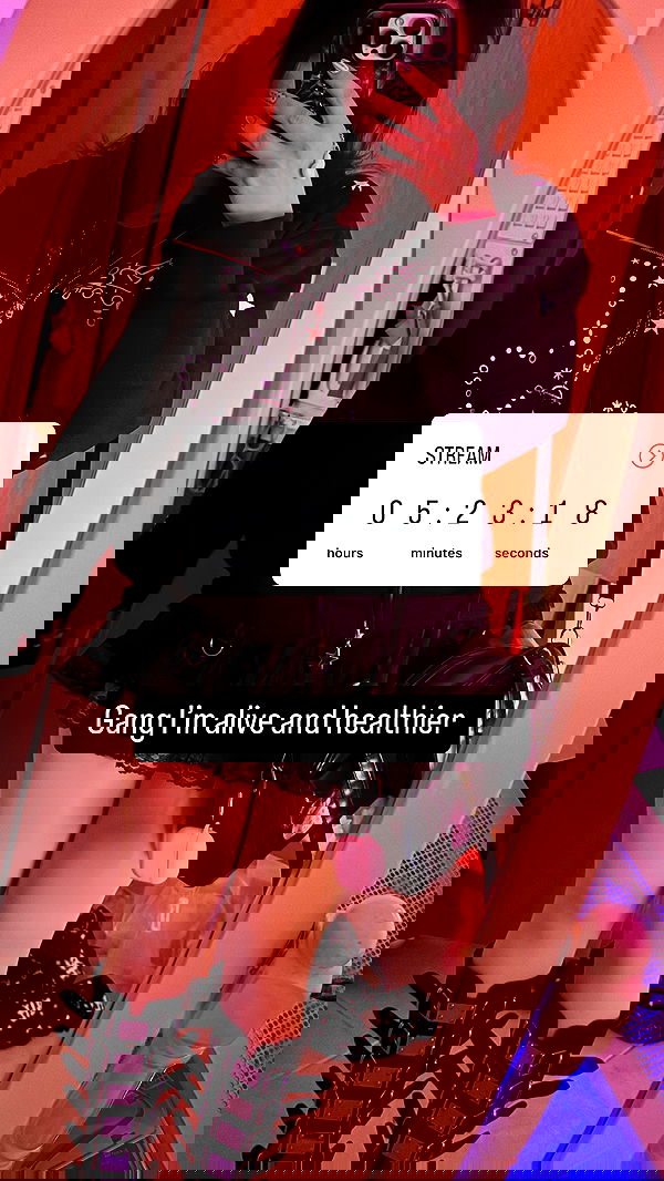 chibinekopurr chibinekopurr archive image