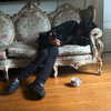leonanaomii Altpins Profile Picture