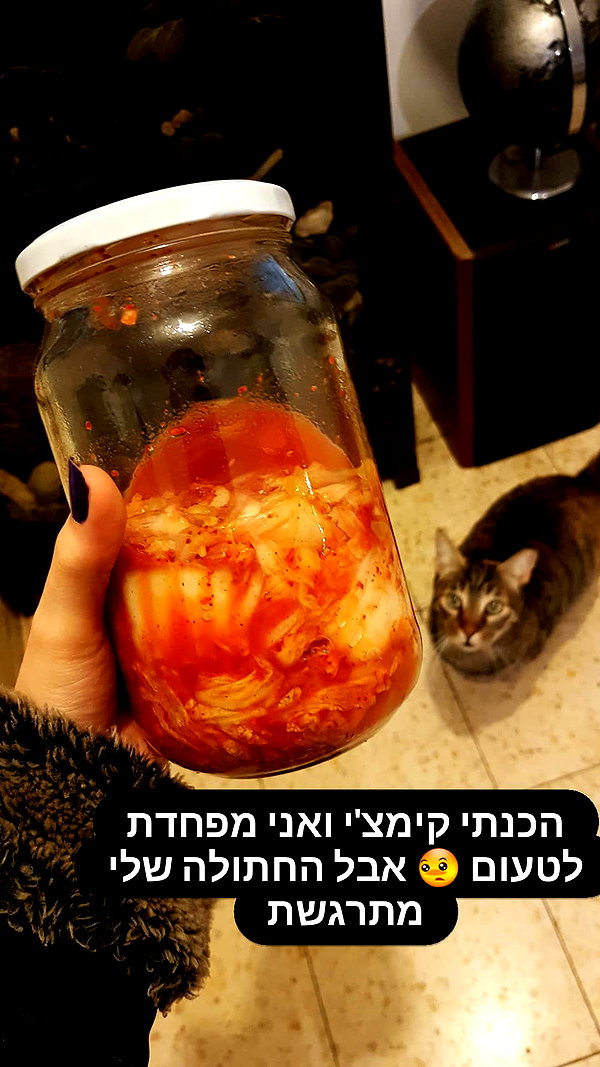Archived image from @yam_adler on Instagram