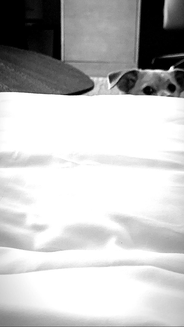 arianagrande instagram image archive image