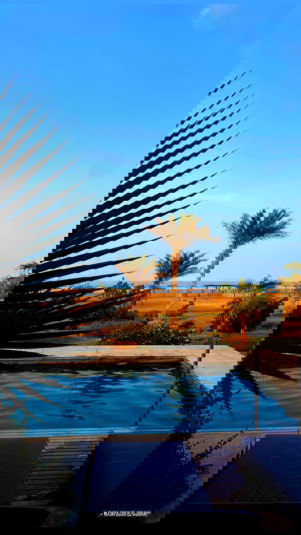 taylor.creeden taylor.creeden archive image